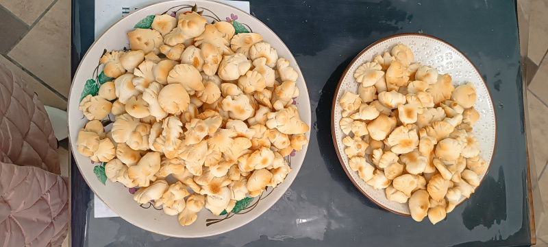 В храме Покрова Пресвятой Богородицы Свято-Макарьевской монашеской общины города Бийска праздновали память 40 Севастийских мучеников 