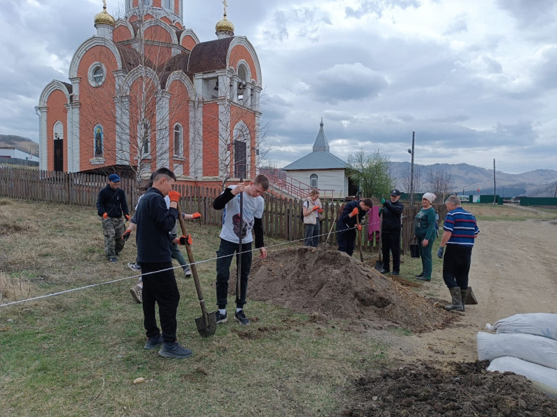 На территории храма святителя Николая Чудотворца села Солонешное высадили более 50-и саженцев кедра 